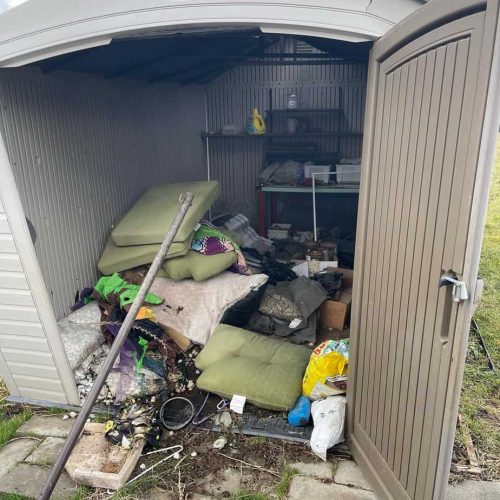 Shed Cleanouts